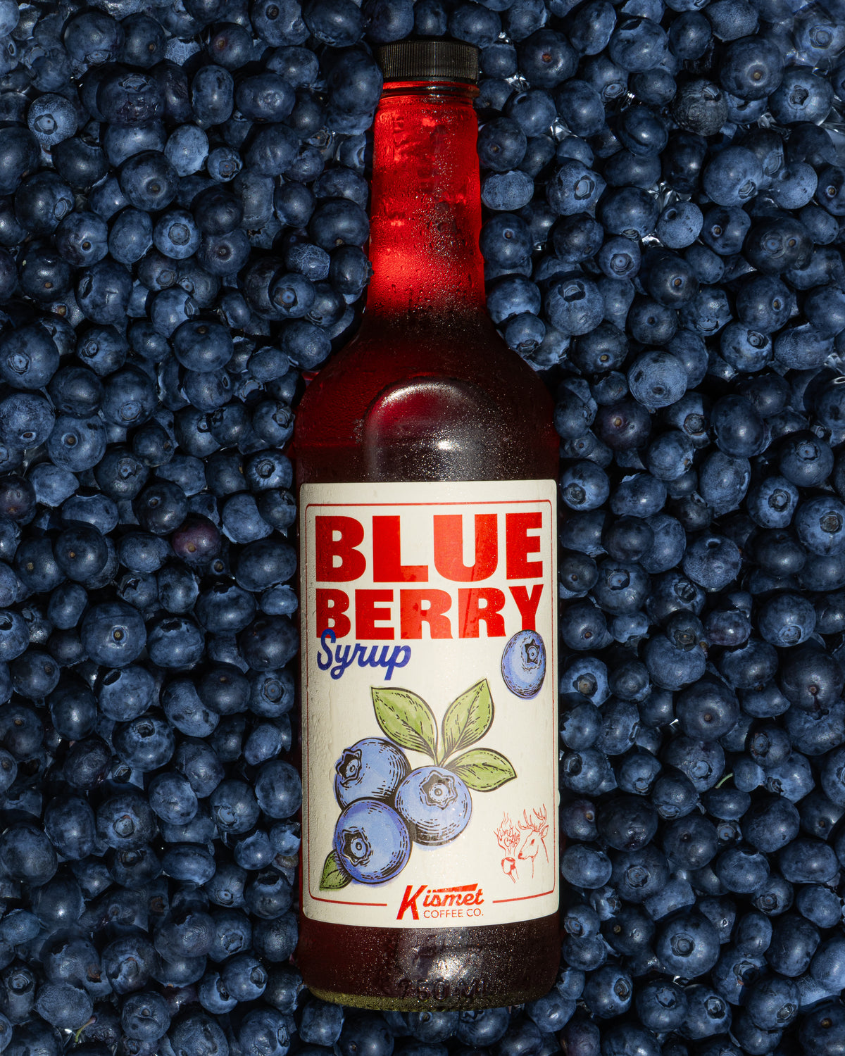 Blueberry Syrup